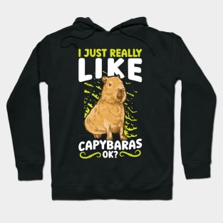 I Just Really Like Capybaras, OK? Hoodie